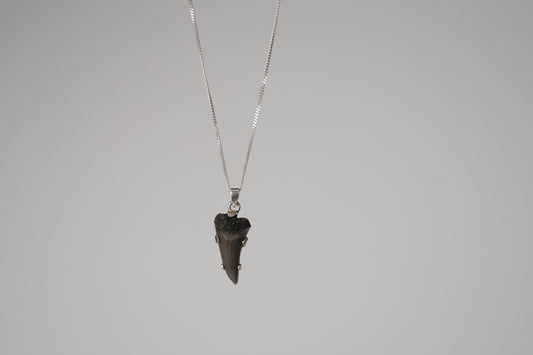 Mako Necklace